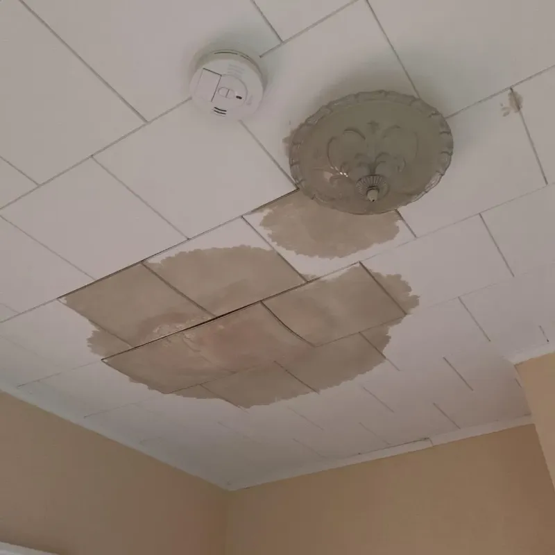 Ceiling Water Damage Repair in Julesburg, CO