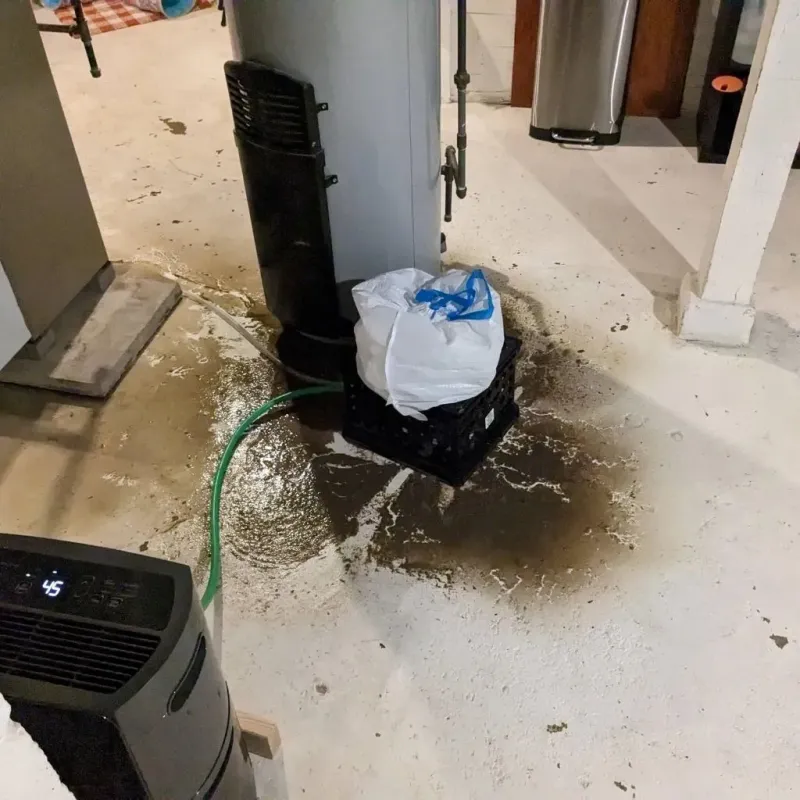 Sewage Backup Cleanup Service in Julesburg, CO